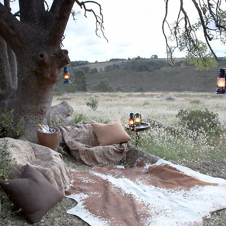 Gondwana Game Reserve Herbertsdale Eksteriør bilde