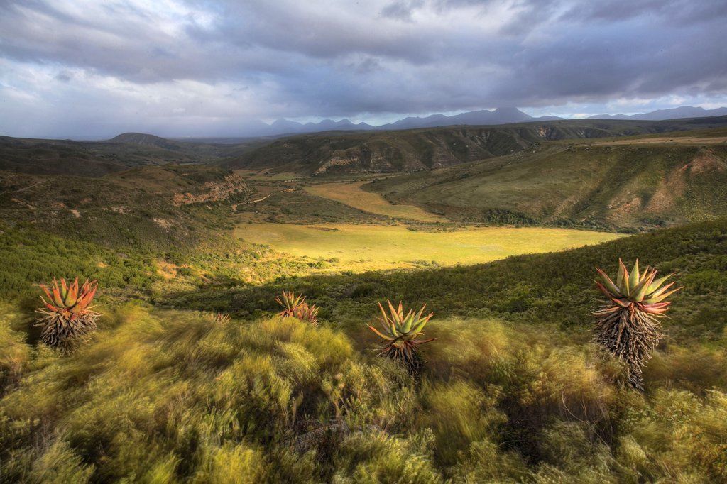 Gondwana Game Reserve Herbertsdale Eksteriør bilde
