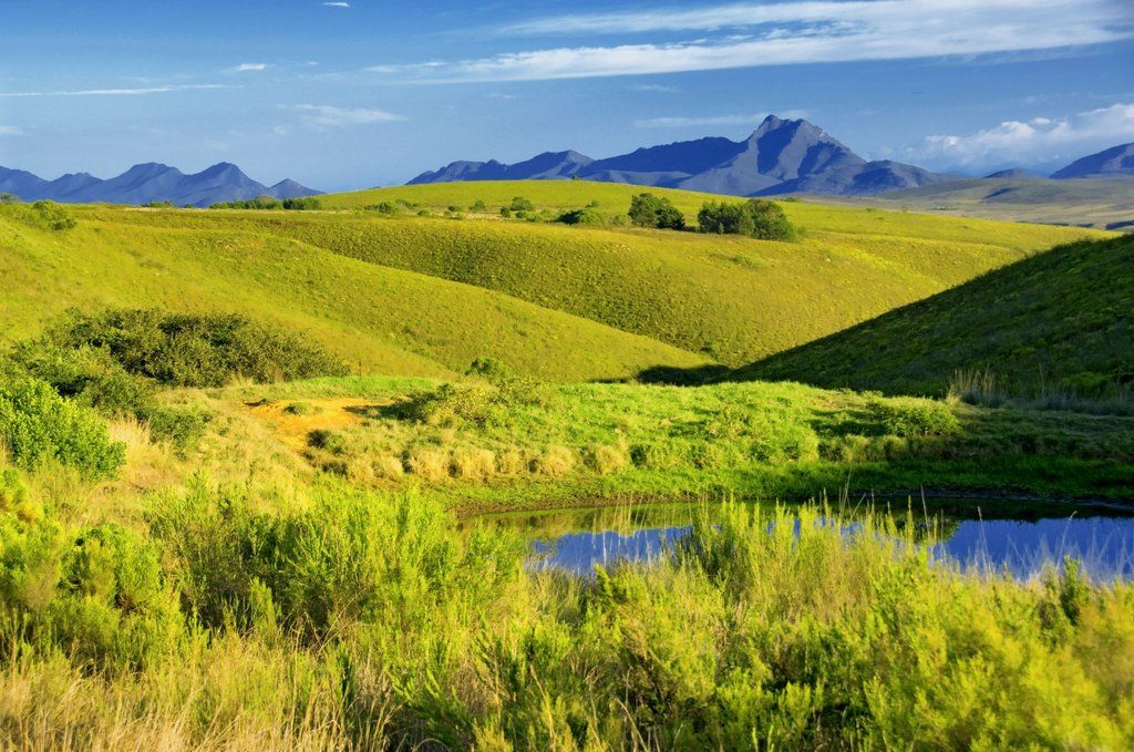 Gondwana Game Reserve Herbertsdale Eksteriør bilde