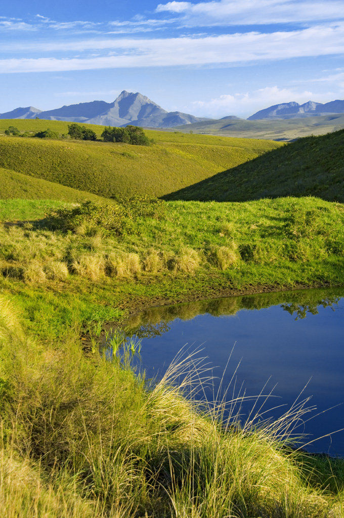 Gondwana Game Reserve Herbertsdale Eksteriør bilde