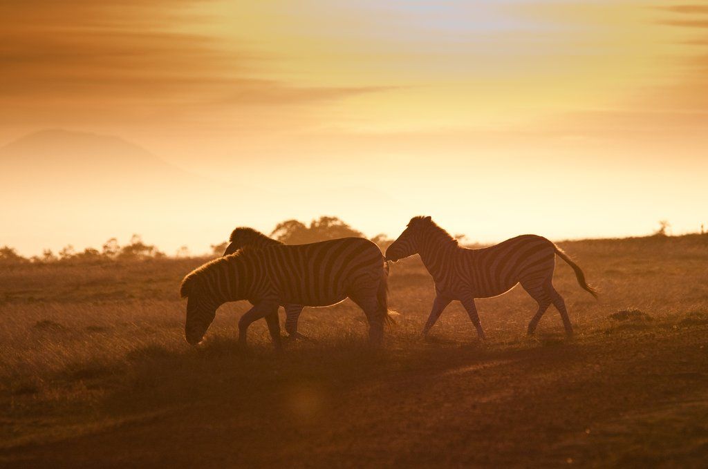 Gondwana Game Reserve Herbertsdale Eksteriør bilde
