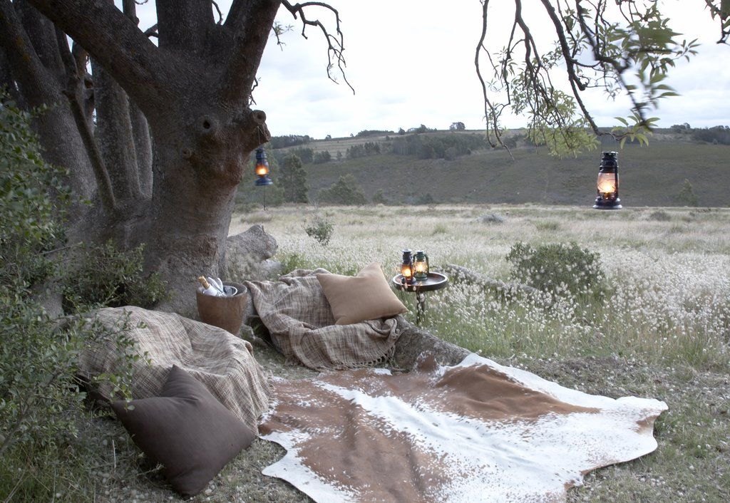 Gondwana Game Reserve Herbertsdale Eksteriør bilde