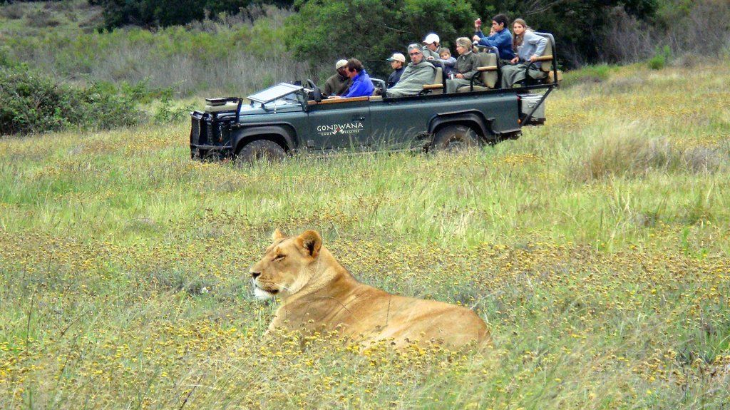 Gondwana Game Reserve Herbertsdale Eksteriør bilde